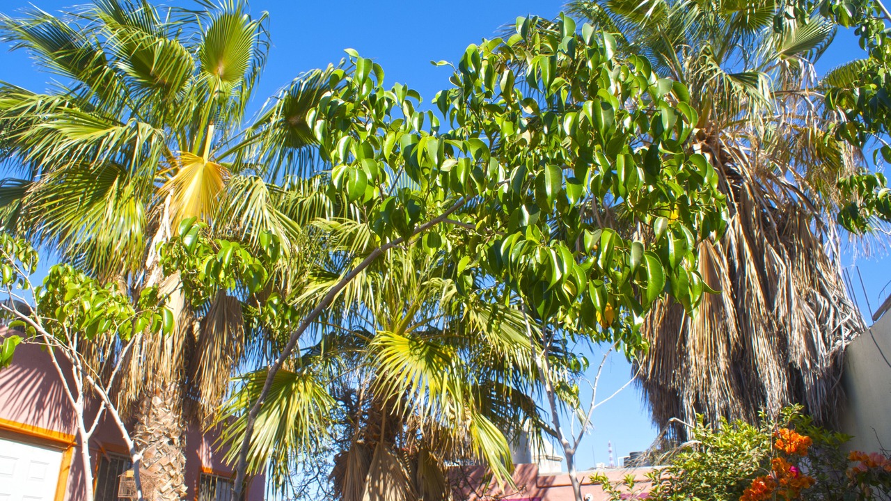 Photo of Outdoor in Cerro de Los Venados