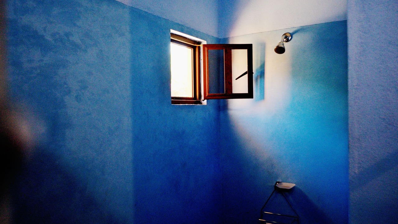 Photo of Others in Todos Santos
