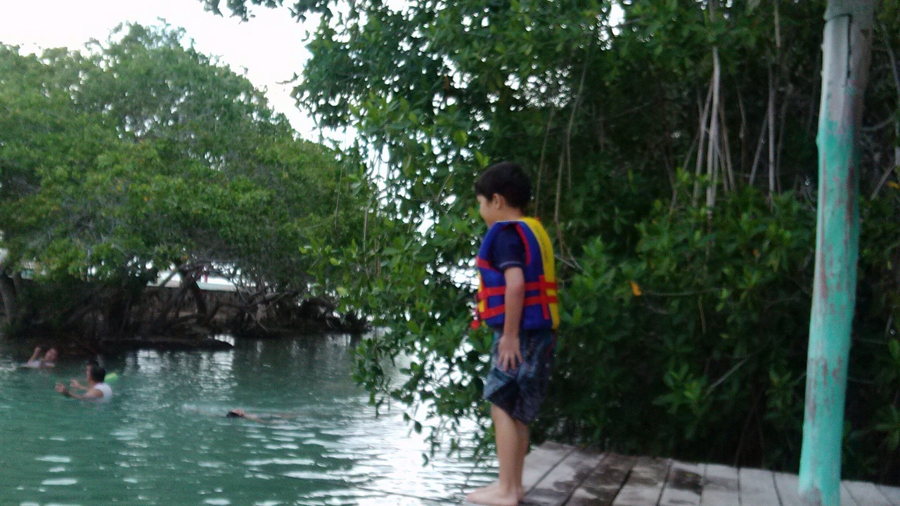 Photo of Others in Rio Lagartos