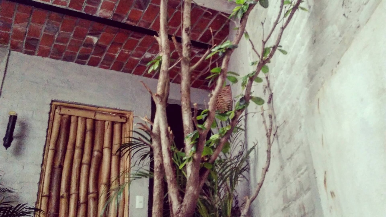 Photo of Outdoor in Tlajomulco de Zuniga