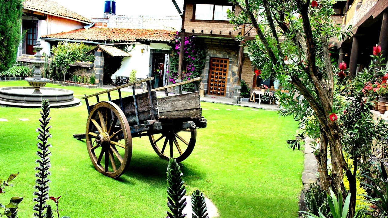 Photo of Outdoor in Jocotitlan