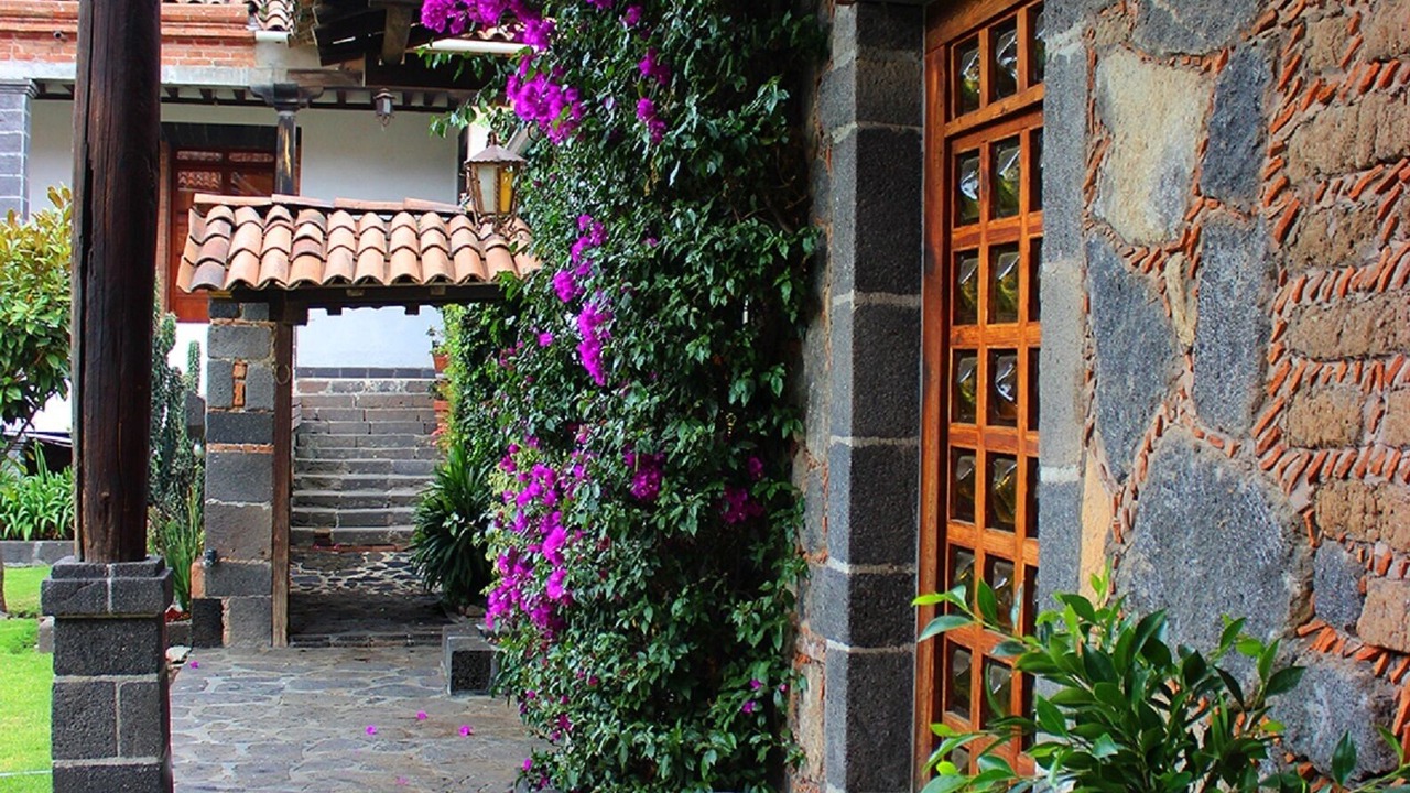 Photo of Outdoor in Jocotitlan