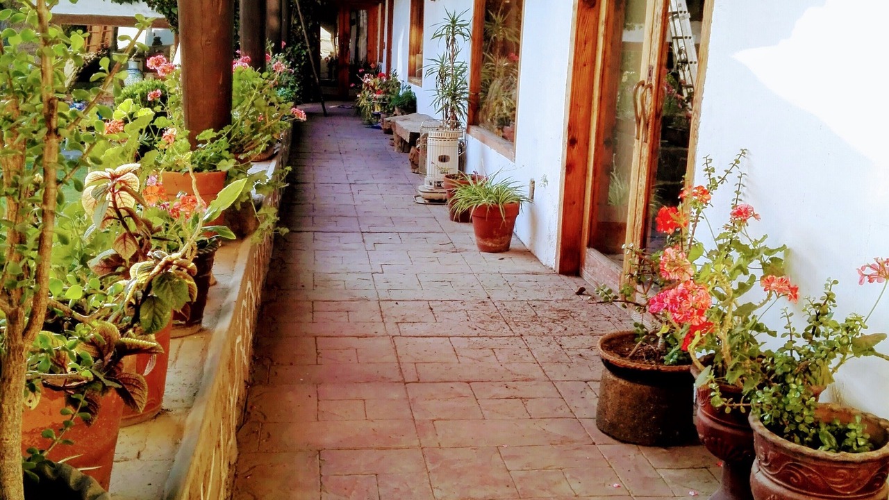 Photo of Outdoor in Jocotitlan
