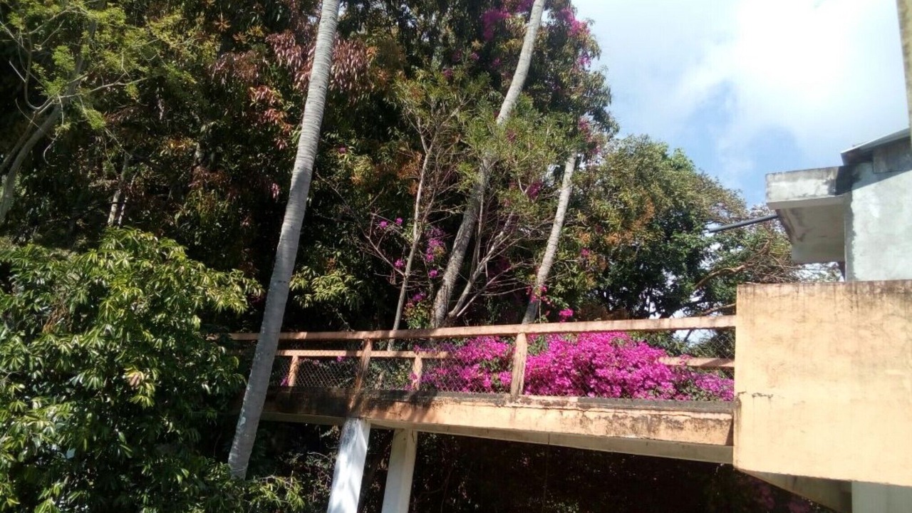 Photo of Outdoor in Pluma Hidalgo