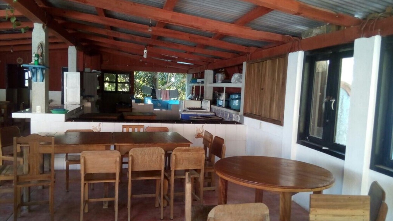 Photo of Others in Pluma Hidalgo