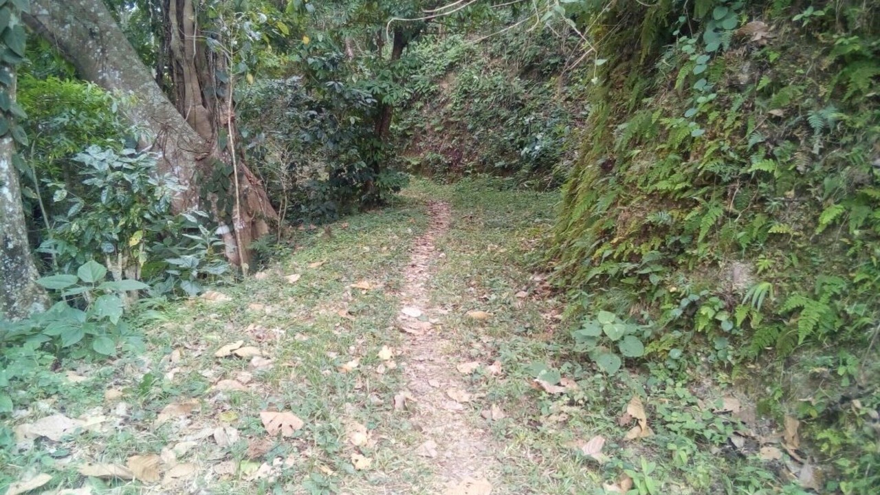 Photo of Outdoor in Pluma Hidalgo