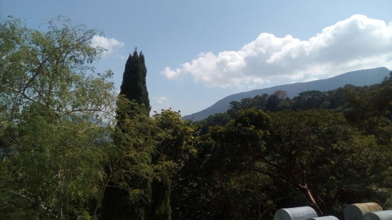Photo of Others in Pluma Hidalgo