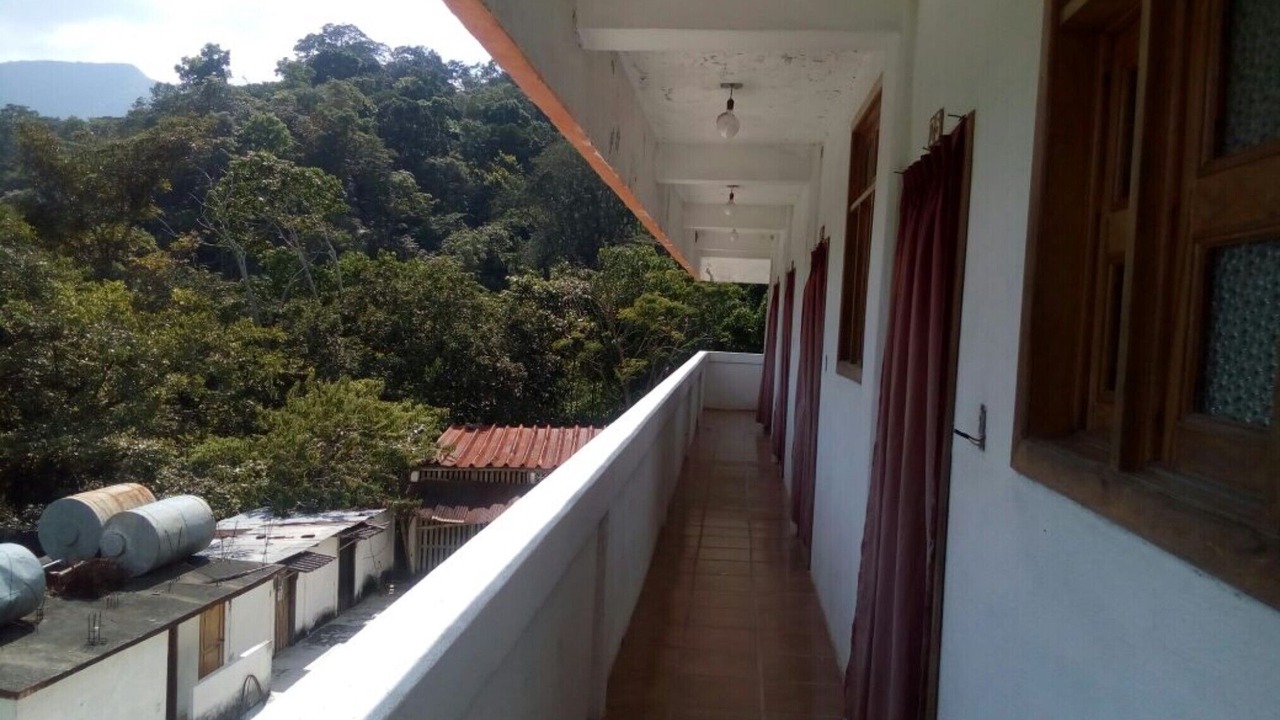 Photo of Outdoor in Pluma Hidalgo