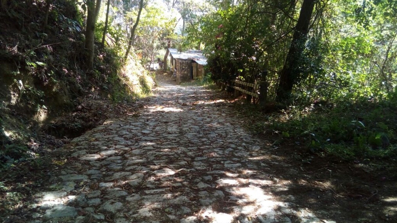 Photo of Outdoor in Pluma Hidalgo