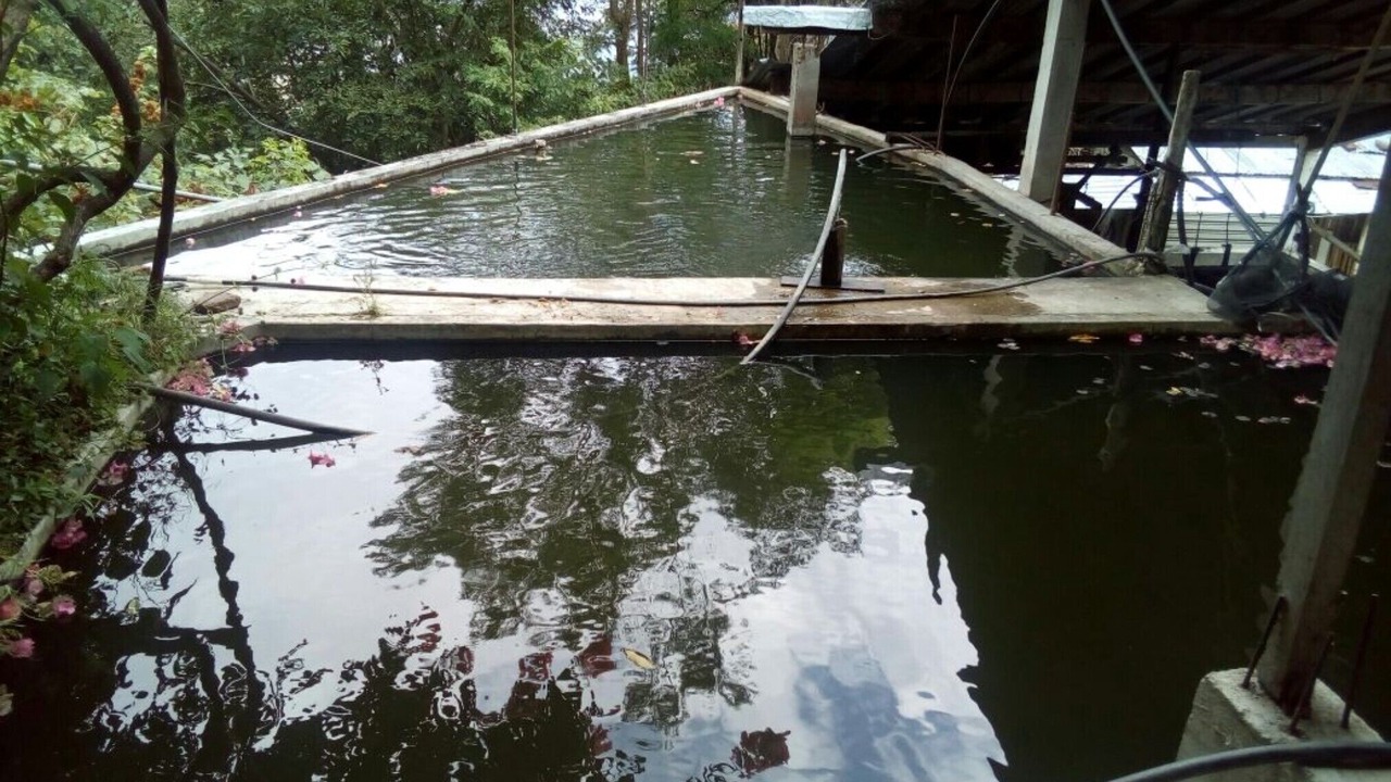 Photo of Outdoor in Pluma Hidalgo