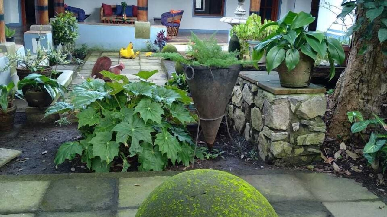 Photo of Outdoor in San Antonio
