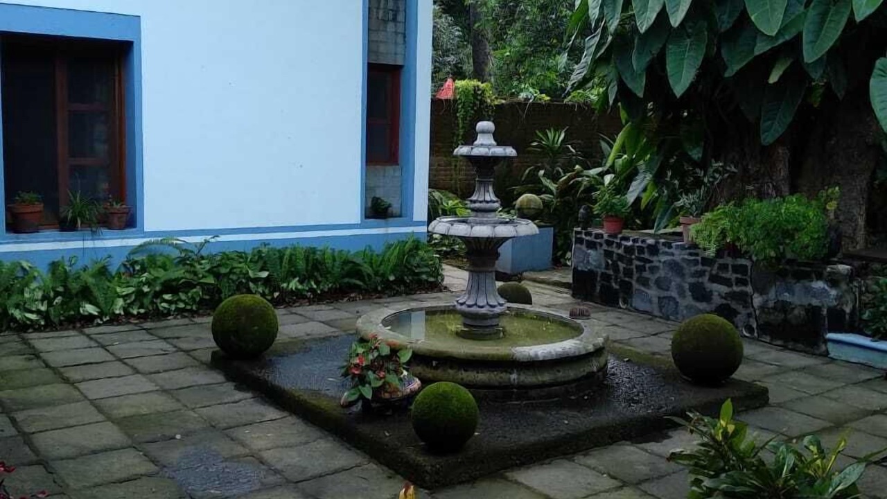 Photo of Outdoor in San Antonio
