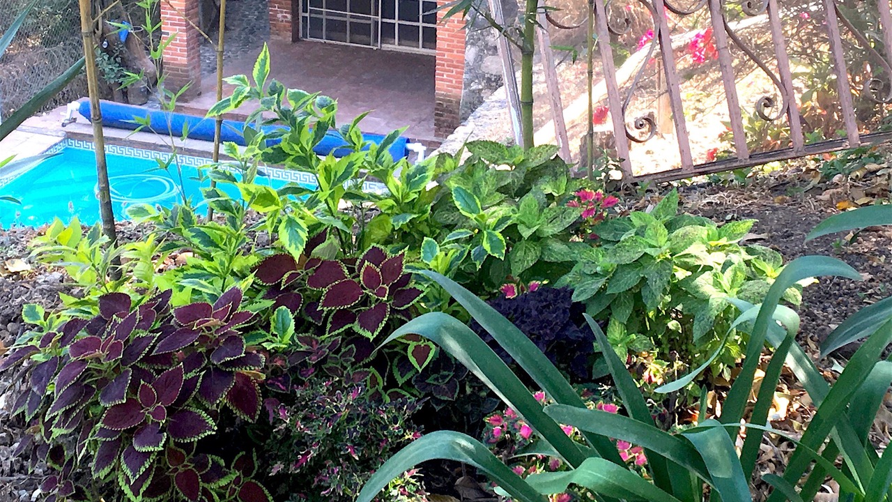 Photo of Outdoor in Tepoztlan