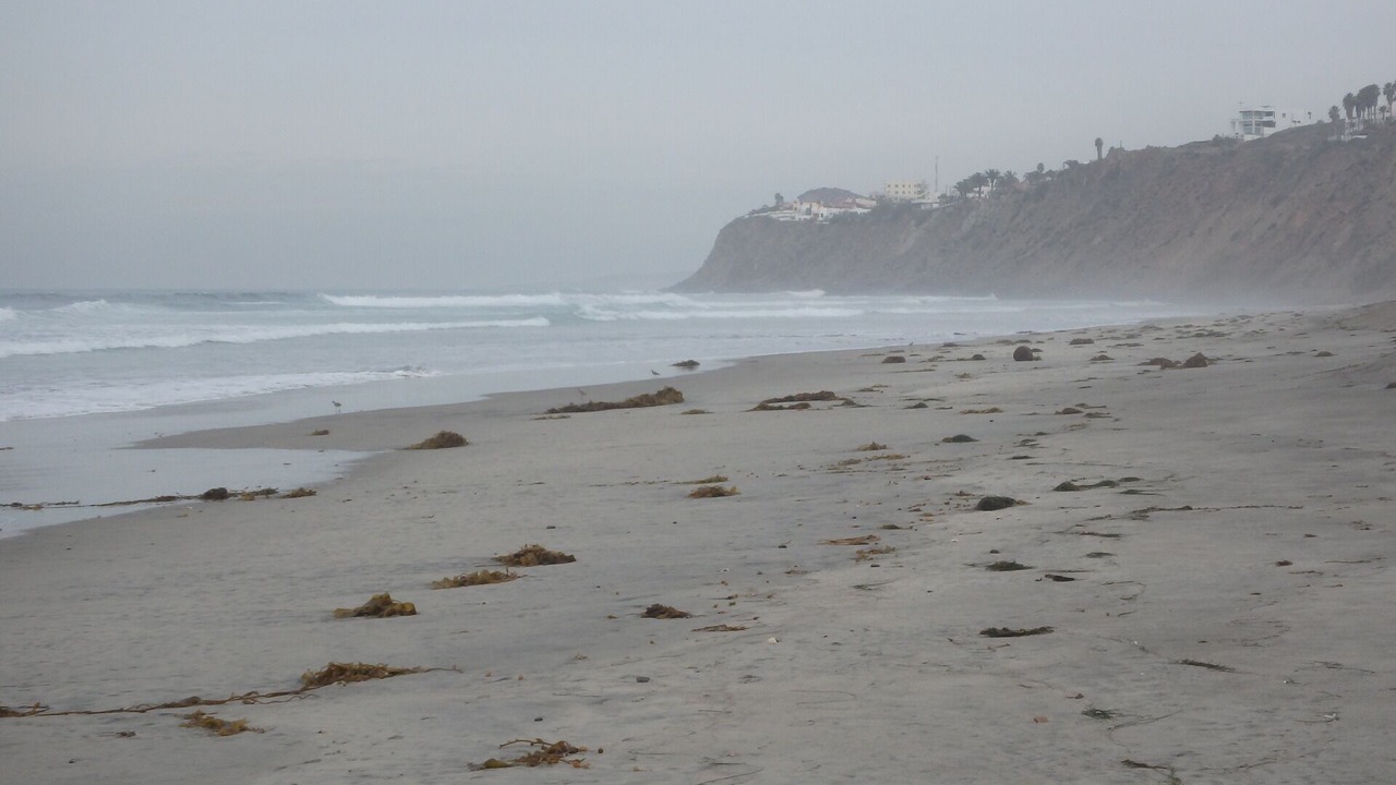 Photo of Others in Ensenada