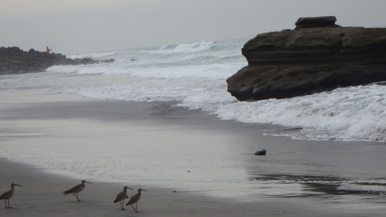 Photo of Others in Ensenada