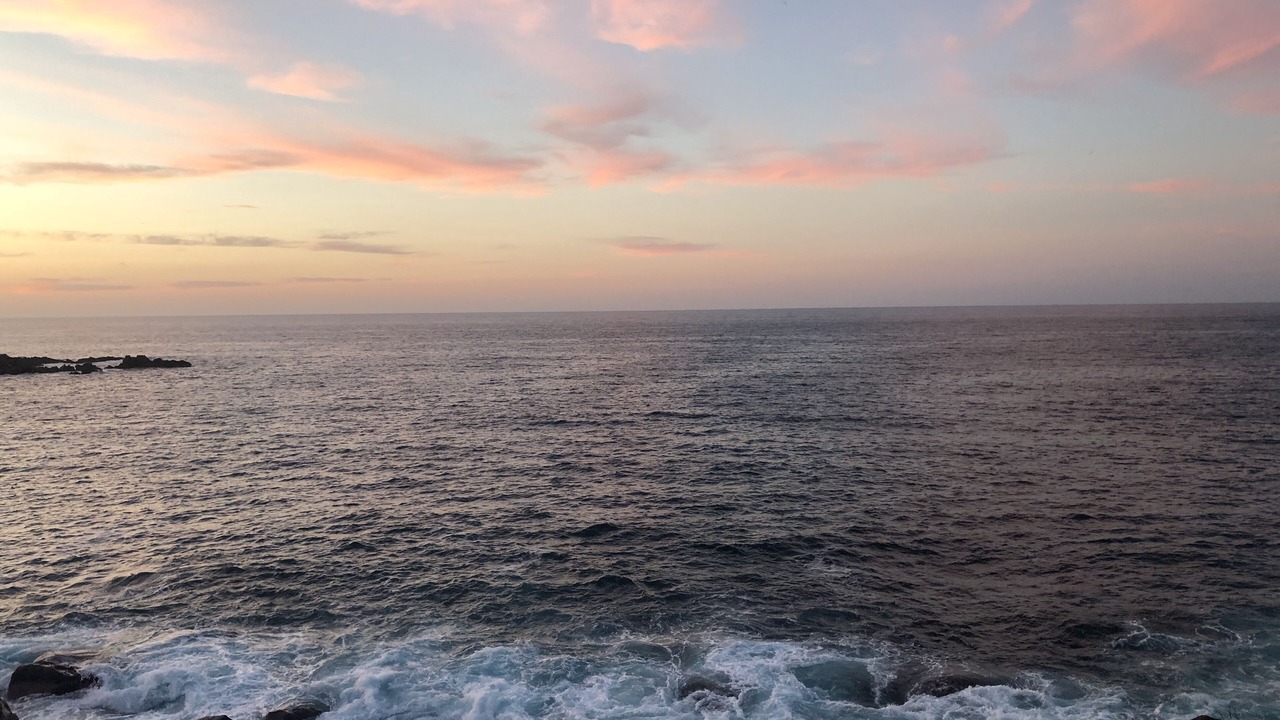 Photo of Others in Chimo