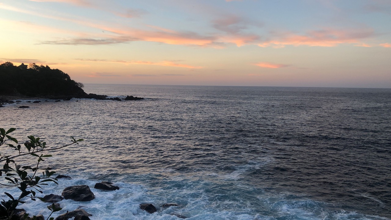 Photo of Others in Chimo