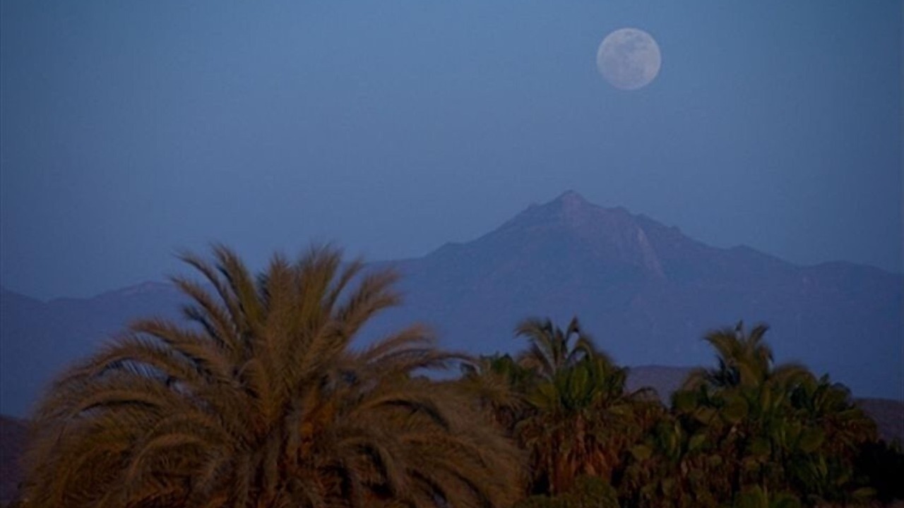 Photo of Others in Todos Santos