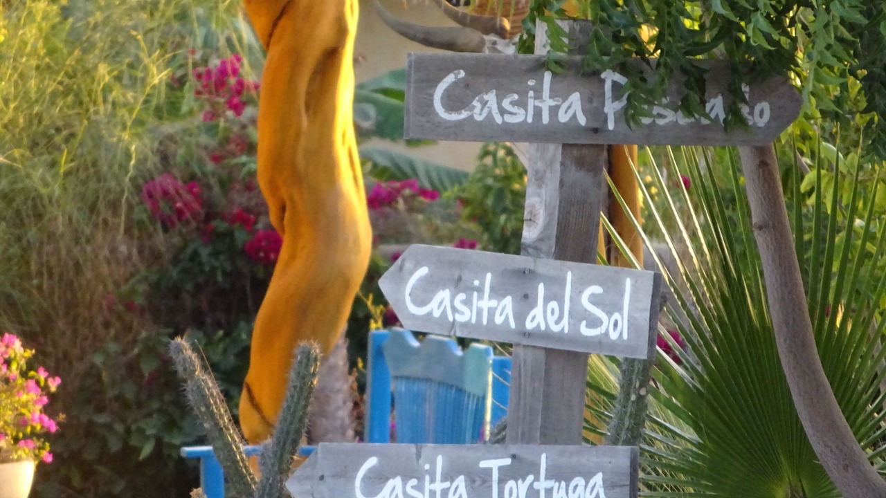 Photo of Others in Todos Santos