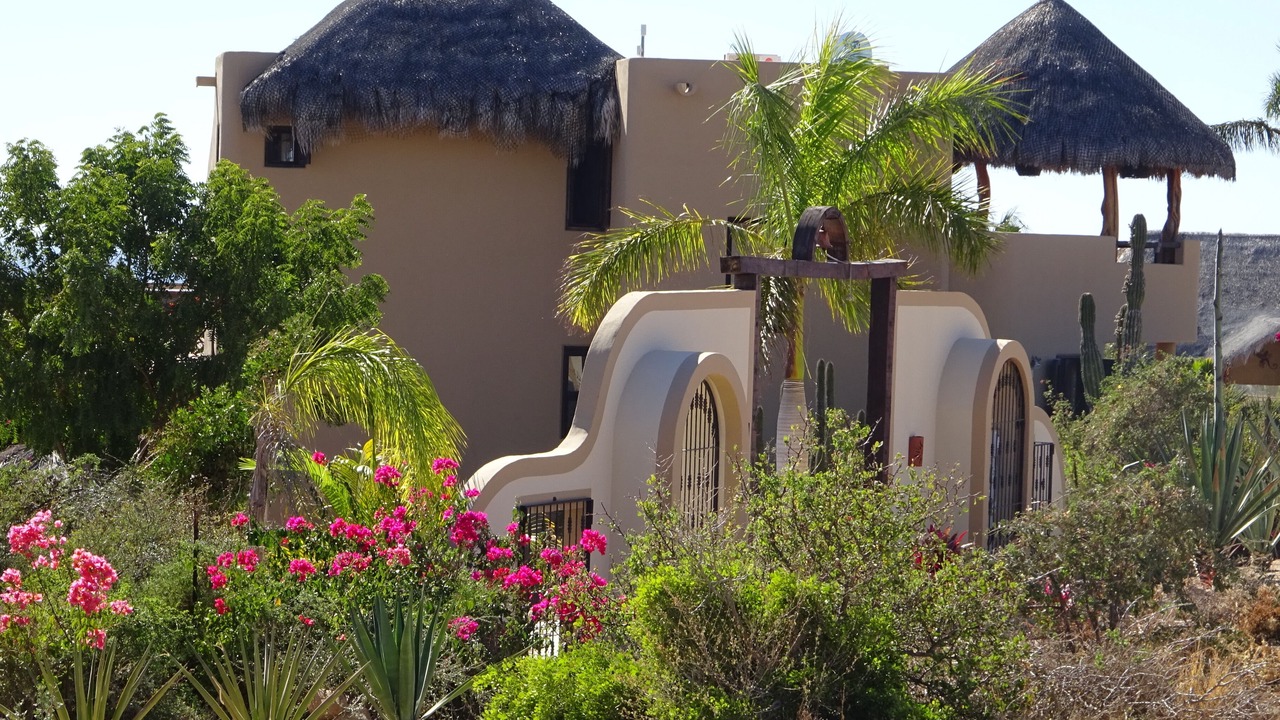 Photo of Others in Todos Santos