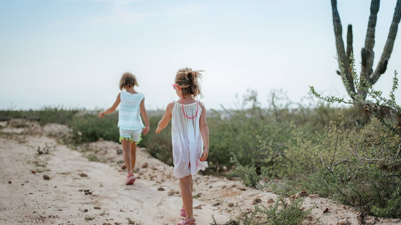 Photo of Others in Todos Santos