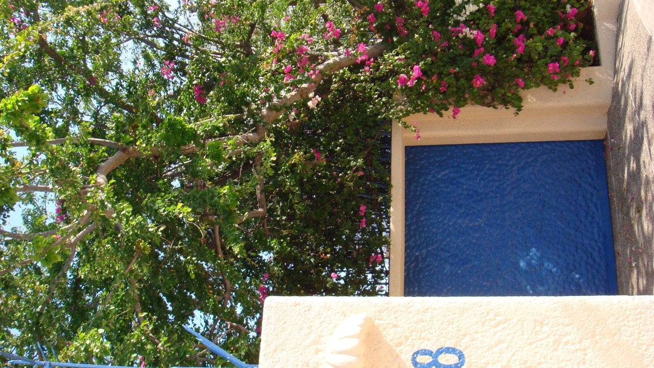 Photo of Others in La Poza