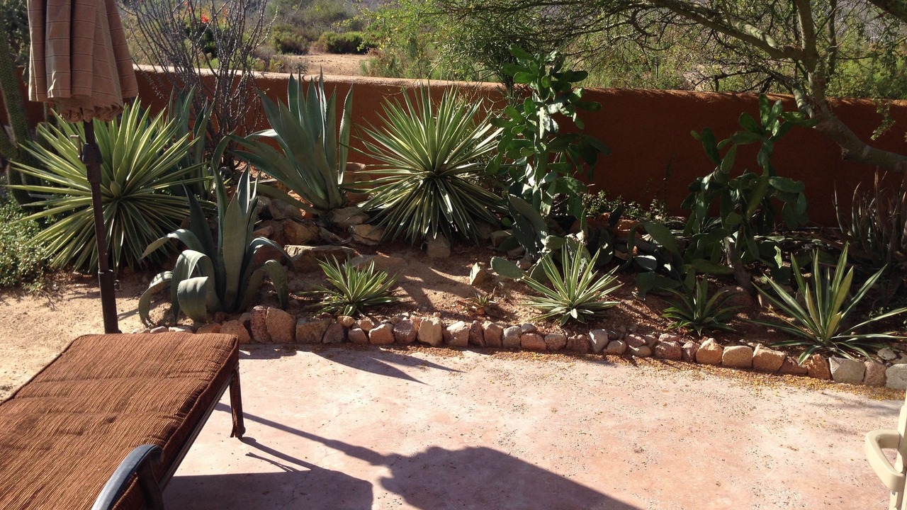 Photo of Outdoor in Cabo Pulmo