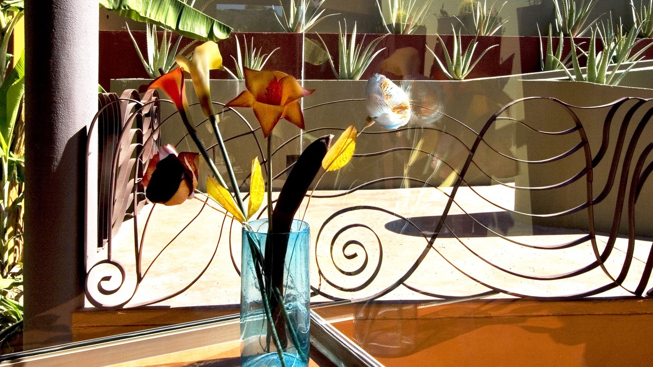 Photo of Outdoor in Cabo Pulmo