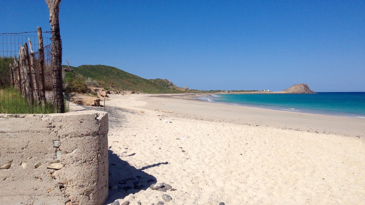 Photo of Others in Cabo Pulmo