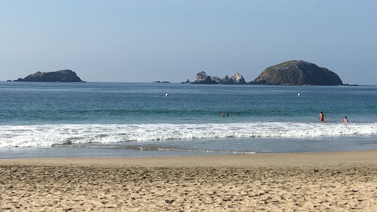 Photo of Others in Ixtapa