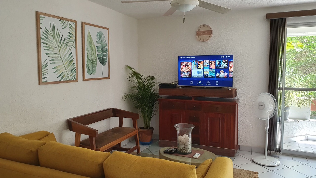 Photo of Livingroom in Ixtapa
