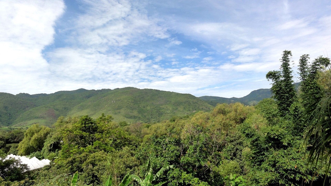 Photo of Others in Malinalco