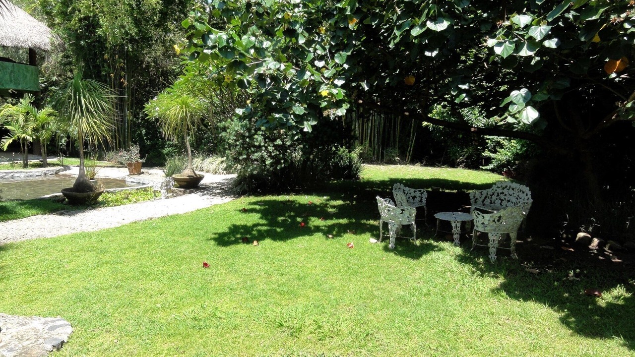 Photo of Others in Malinalco