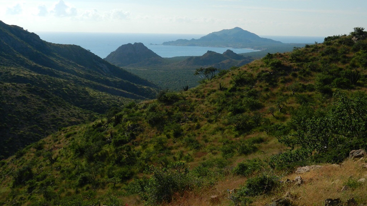 Photo of Outdoor in Cabo Pulmo