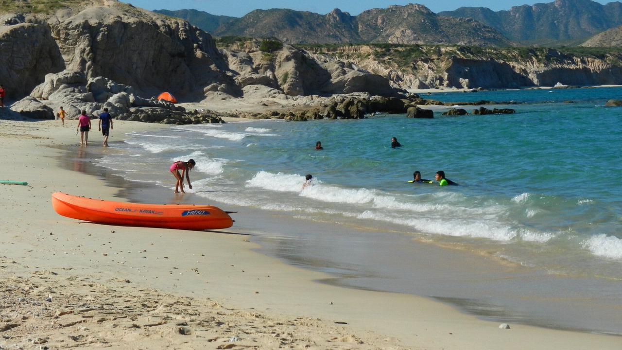 Photo of Others in Cabo Pulmo