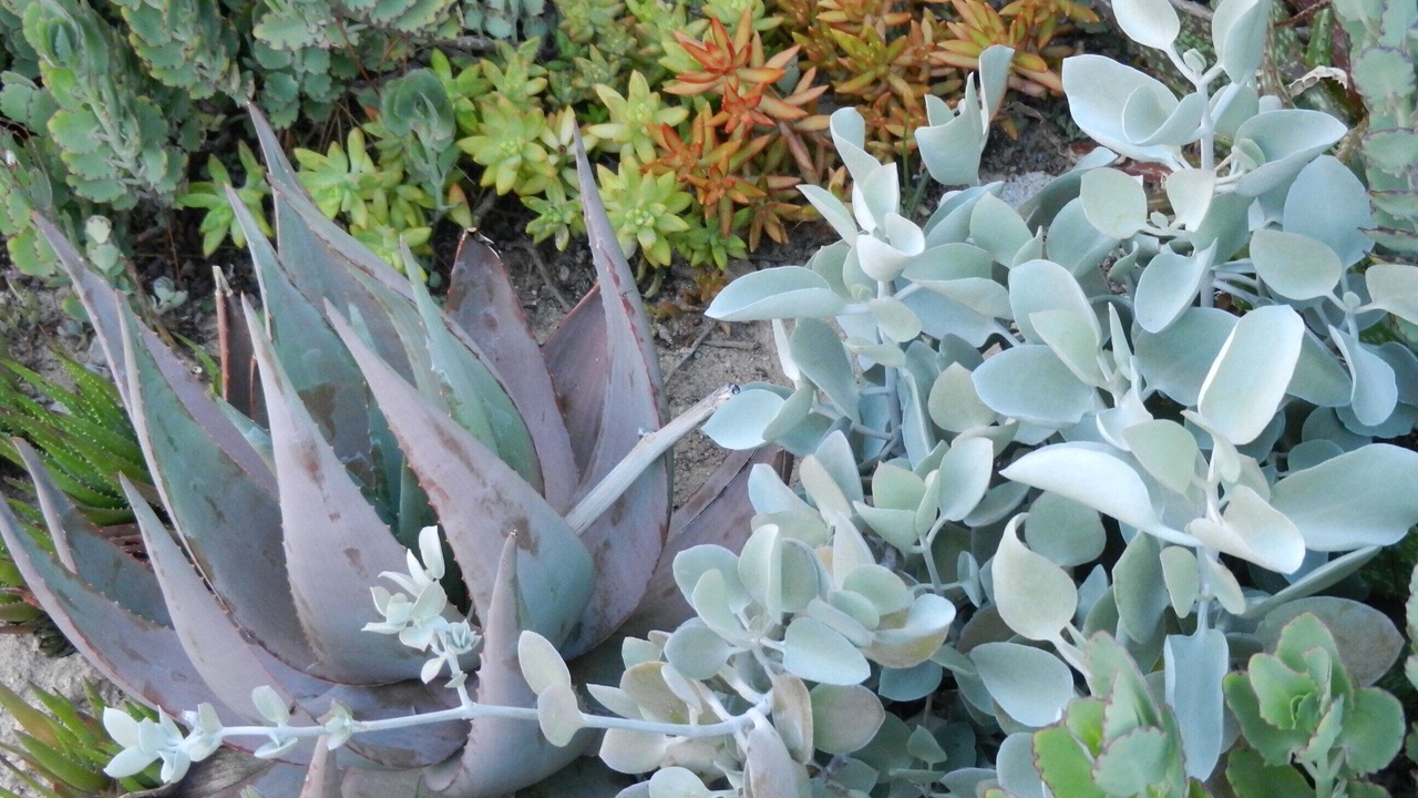 Photo of Outdoor in Cabo Pulmo