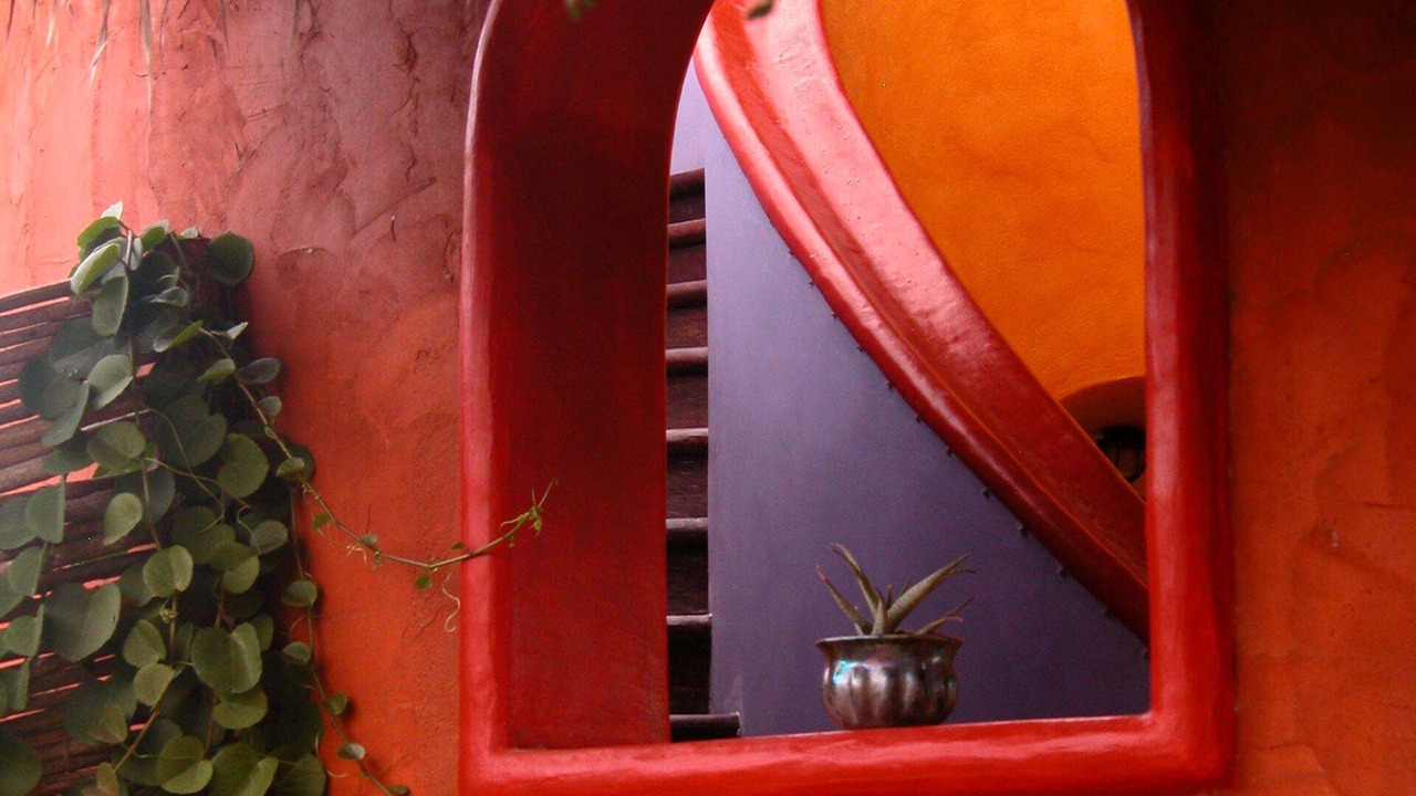 Photo of Outdoor in Cabo Pulmo