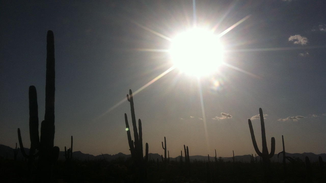 Photo of Others in Puerto Penasco