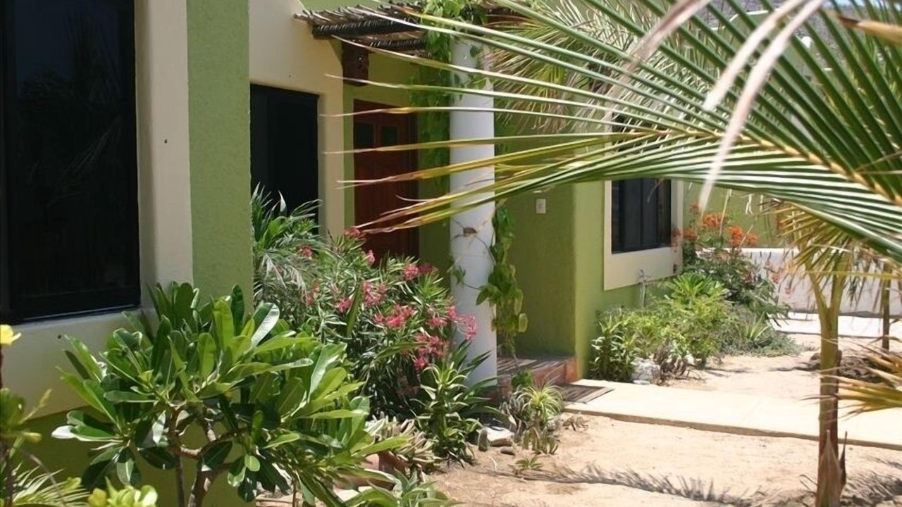 Photo of Others in Los Barriles