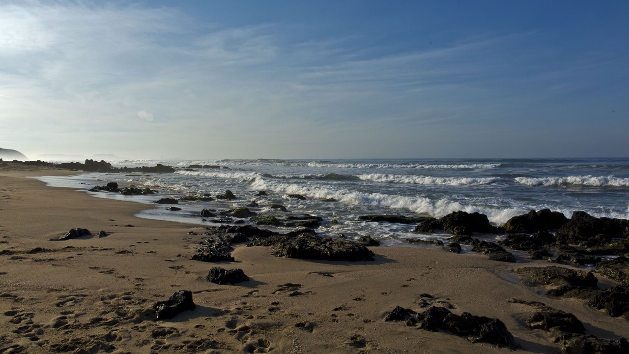 Photo of Others in Troncones
