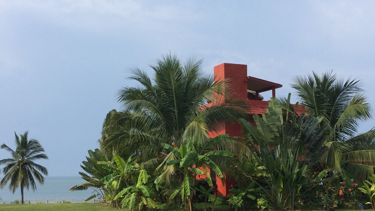 Photo of Outdoor in Saladita