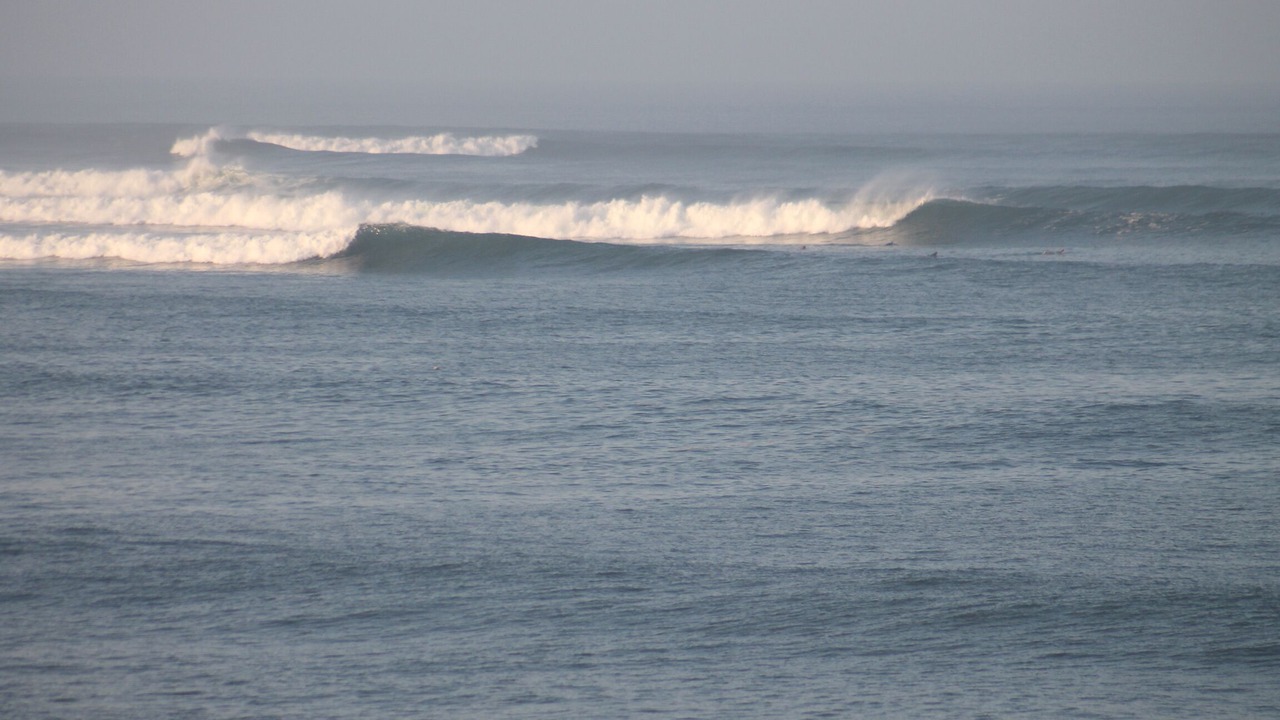 Photo of Others in Saladita