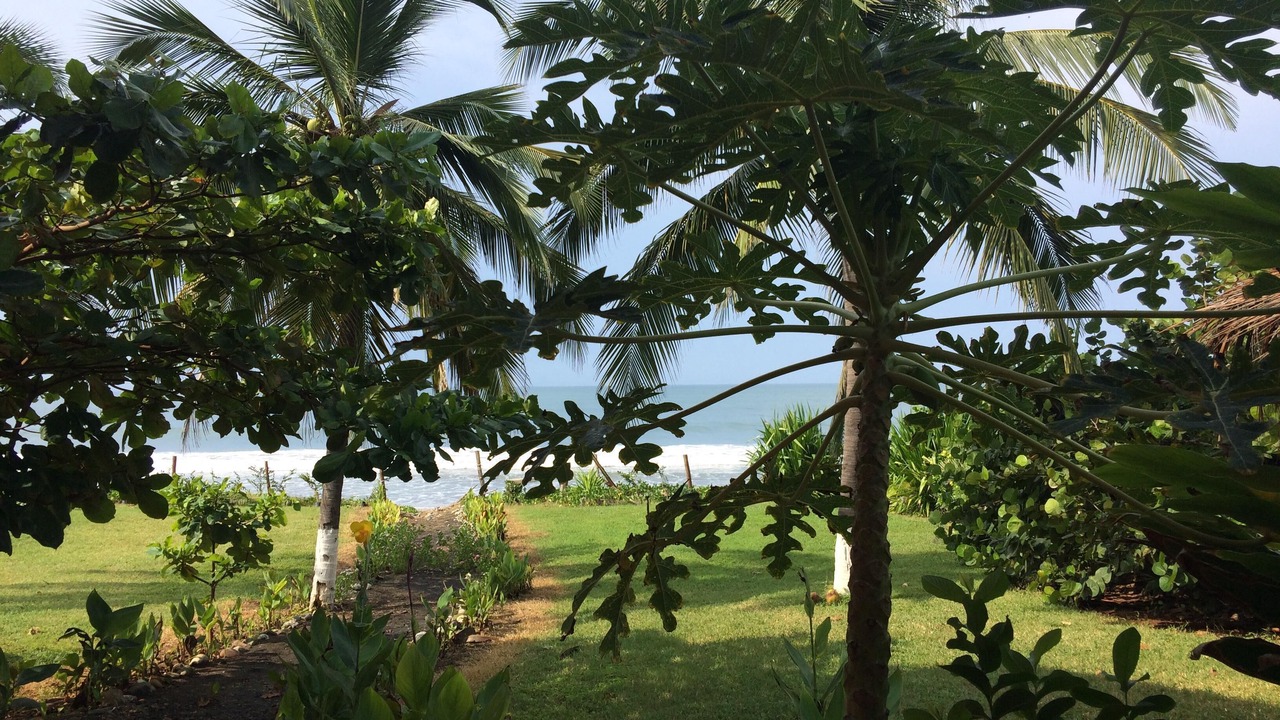 Photo of Outdoor in Saladita