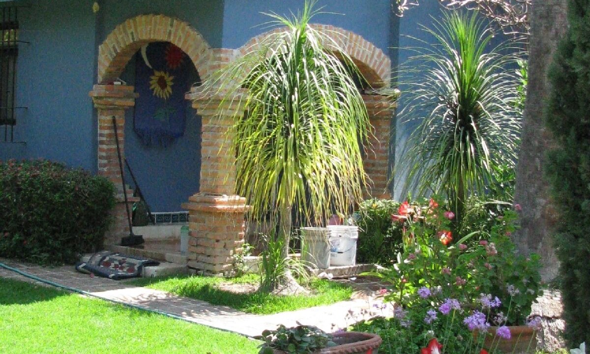 Photo of Others in Ajijic