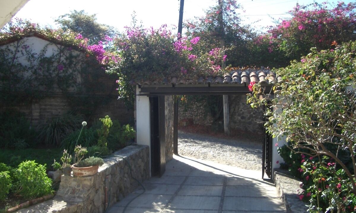 Photo of Others in Ajijic