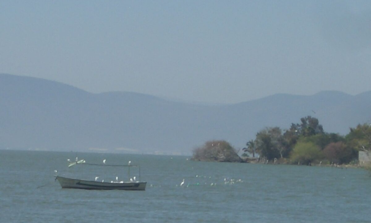 Photo of Outdoor in Ajijic