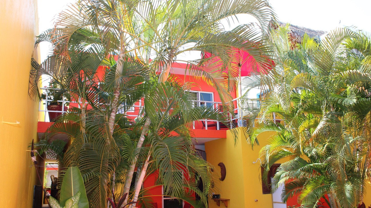 Photo of Others in Barra de Navidad