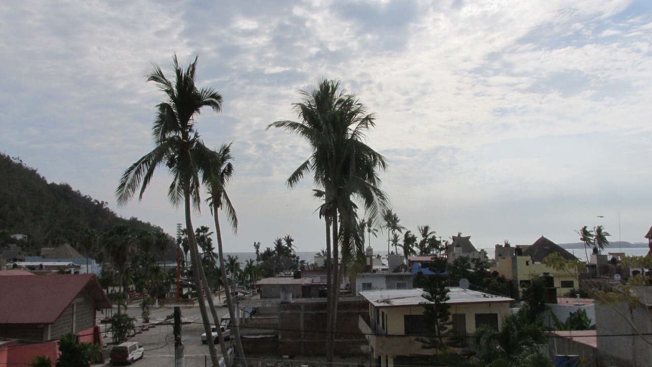 Photo of Others in La Manzanilla