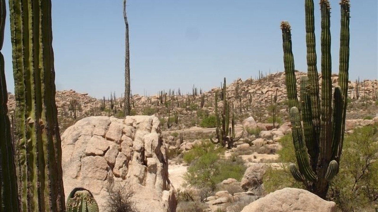 Photo of Outdoor in Mulege