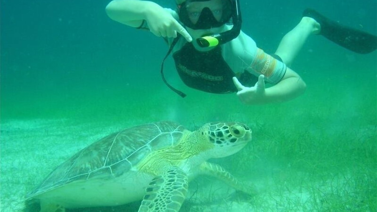 Photo of Others in Mulege